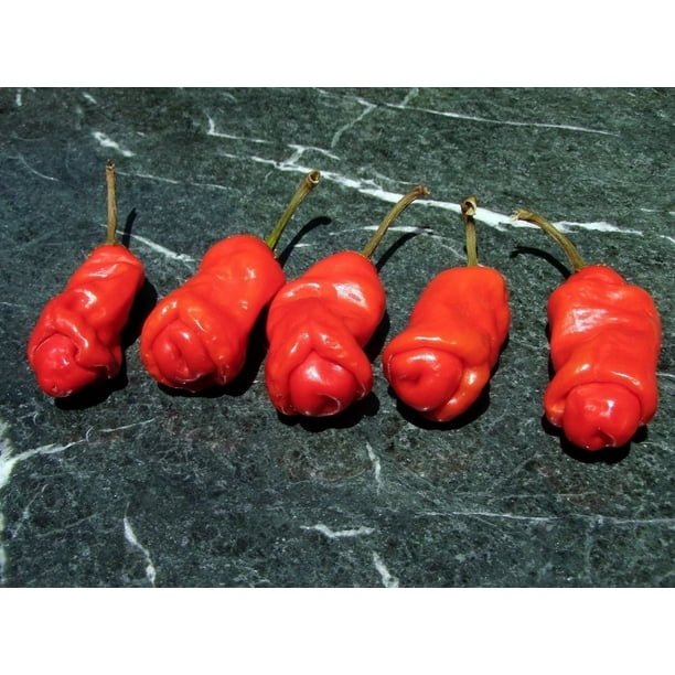 SUPER HOT PETER PEPPER SEEDS TESTED AND READY TO PLANT
